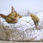 Técnicas de relajación para dormir profundamente toda la noche