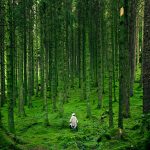 Increíbles curiosidades de la naturaleza